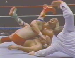 Hogan Pins The Iron Shiek For His First Title
