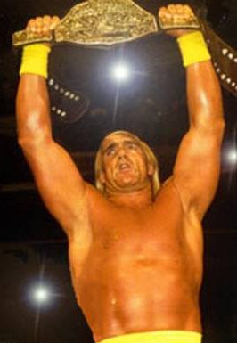 Hogan Holds The WCW World Title 