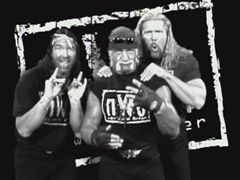 The NWO Poses